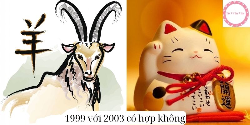 1999 với 2003 có hợp không