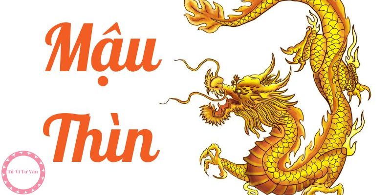 Chồng tuổi Ất Sửu vợ tuổi Mậu Thìn