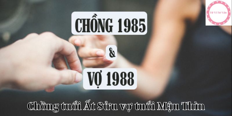 Chồng tuổi Ất Sửu vợ tuổi Mậu Thìn