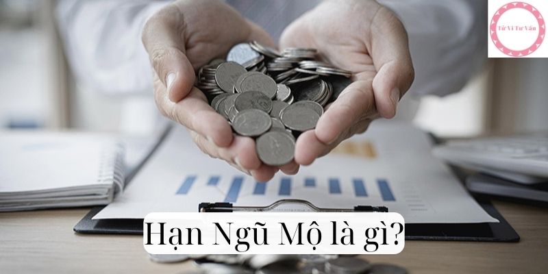 Hạn Ngũ Mộ là gì