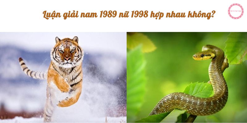 Luận giải nam 1989 nữ 1998 hợp nhau không?