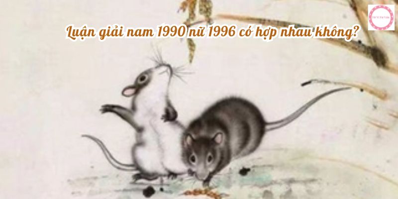 Luận giải nam 1990 nữ 1996 có hợp nhau không?