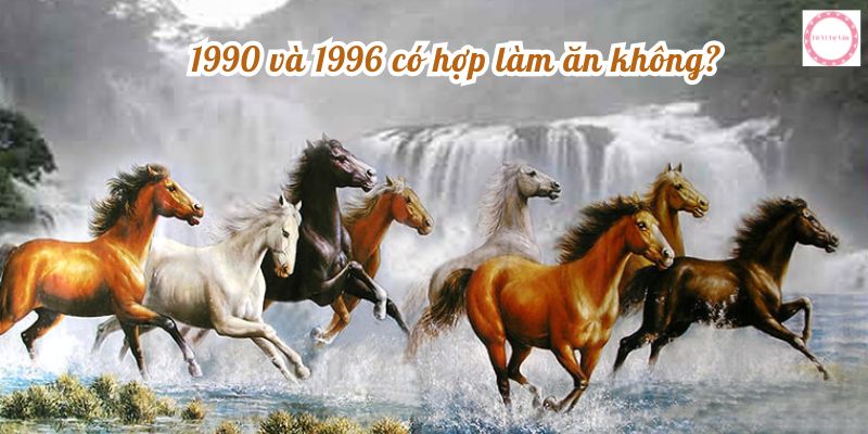 1990 và 1996 có hợp làm ăn không?