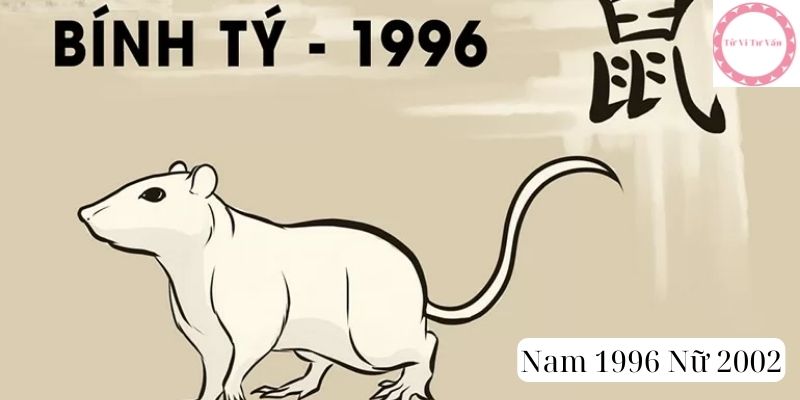 Nam 1996 Nữ 2002