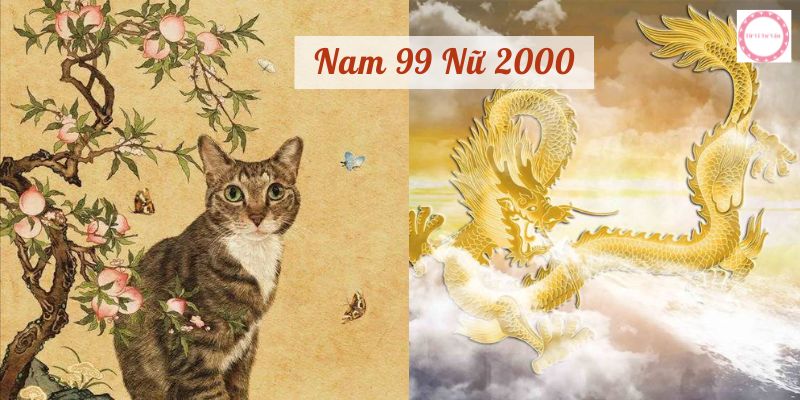 Nam 99 Nữ 2000