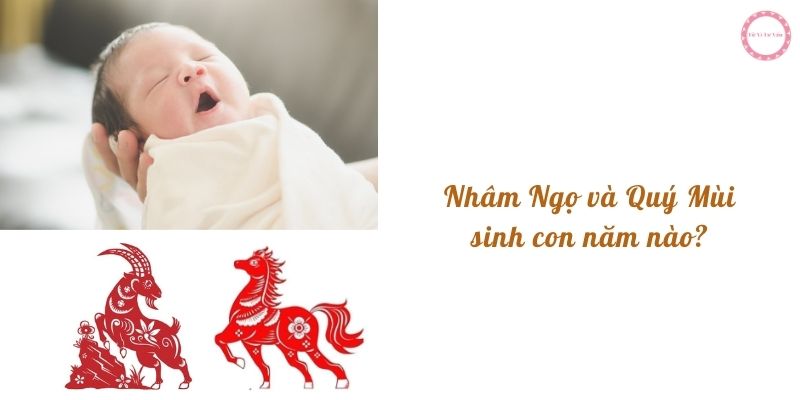 Nhâm Ngọ và Quý Mùi sinh con năm nào?