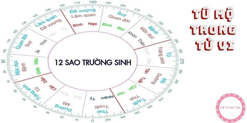 Tứ Mộ trong tử vi