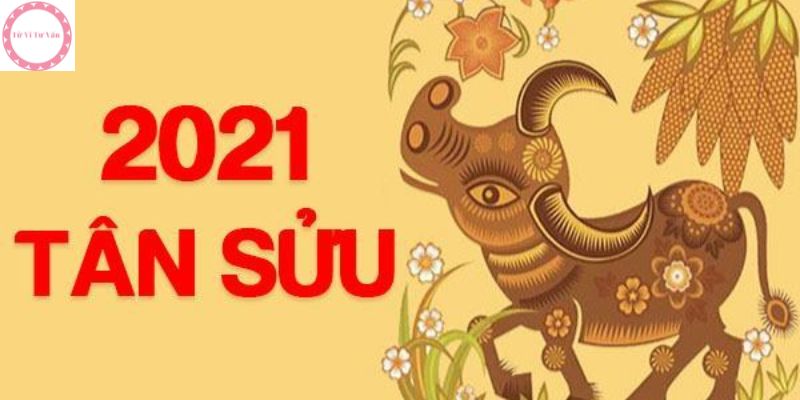 Tử vi năm 2021 nữ mạng