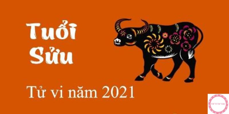 Tử vi năm 2021 nữ mạng