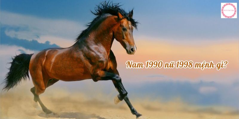 Nam 1990 nữ 1998 mệnh gì? 