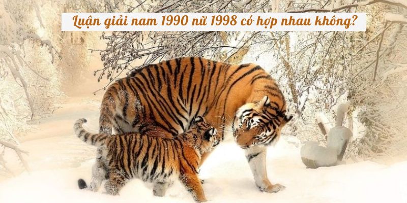 Luận giải nam 1990 nữ 1998 có hợp nhau không?