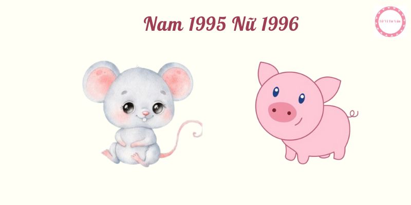 nam 1995 nữ 1996