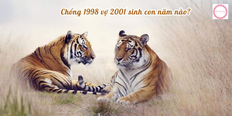 Chồng 1998 vợ 2001 sinh con năm nào?