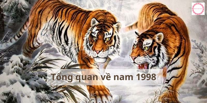 Tổng quan về nam 1998