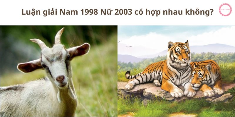 Luận giải Nam 1998 Nữ 2003 có hợp nhau không?