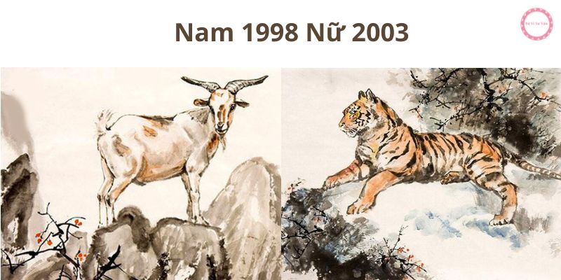 nam 1998 nữ 2003