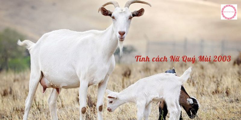 Tính cách Nữ Quý Mùi 2003