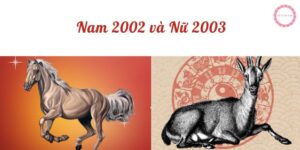 nam 2002 và nữ 2003