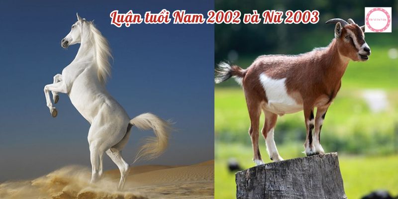 Luận tuổi Nam 2002 và Nữ 2003