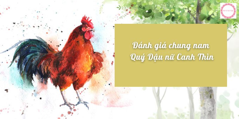 Đánh giá chung nam Quý Dậu nữ Canh Thìn