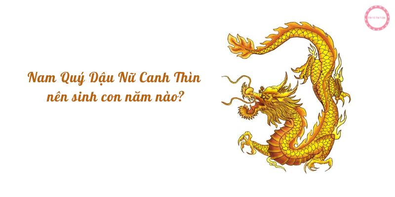 Nam Quý Dậu Nữ Canh Thìn nên sinh con năm nào?