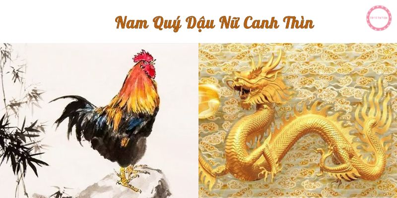 nam quý dậu nữ canh thìn