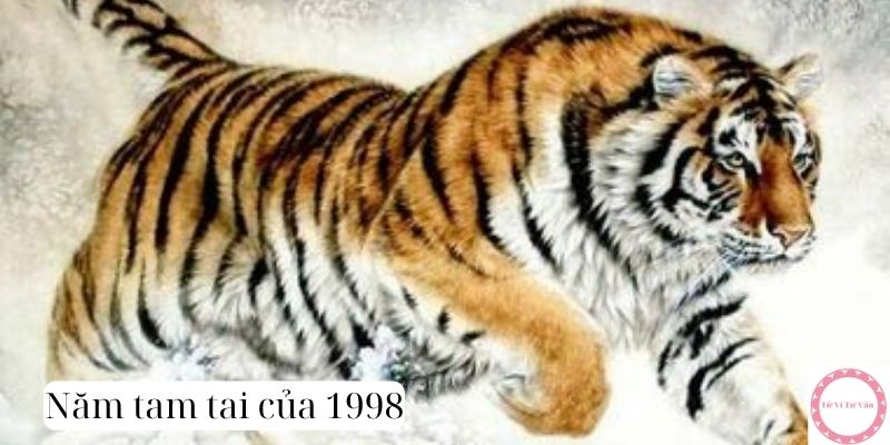 năm tam tai của 1998