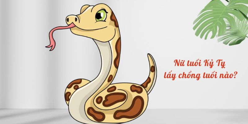 Nữ tuổi Kỷ Tỵ lấy chồng tuổi nào?