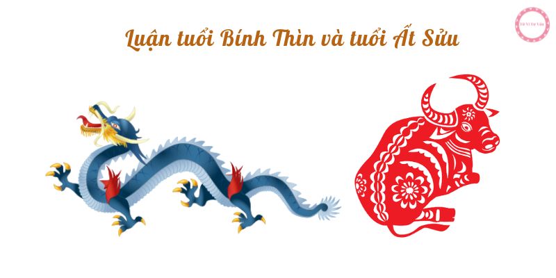 Luận tuổi Bính Thìn và tuổi Ất Sửu