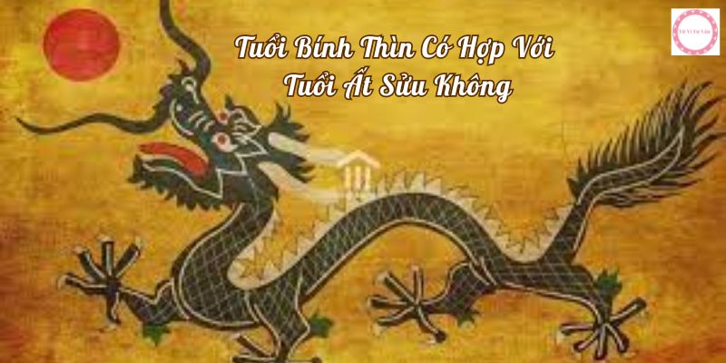 tuổi bính thìn có hợp với tuổi ất sửu không