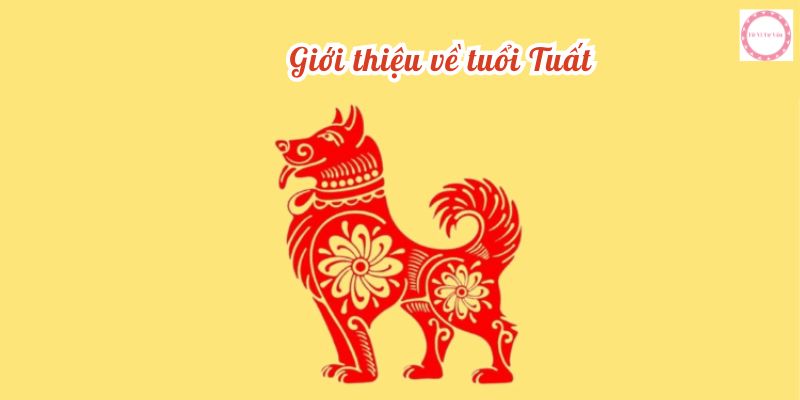 Giới thiệu về tuổi Tuất