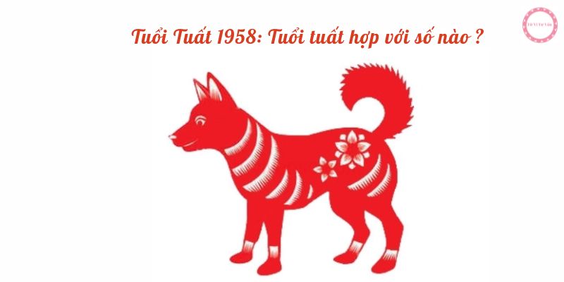 Tuổi Tuất 1958: Tuổi tuất hợp với số nào ? 