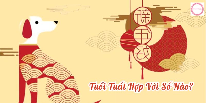 tuổi tuất hợp với số nào