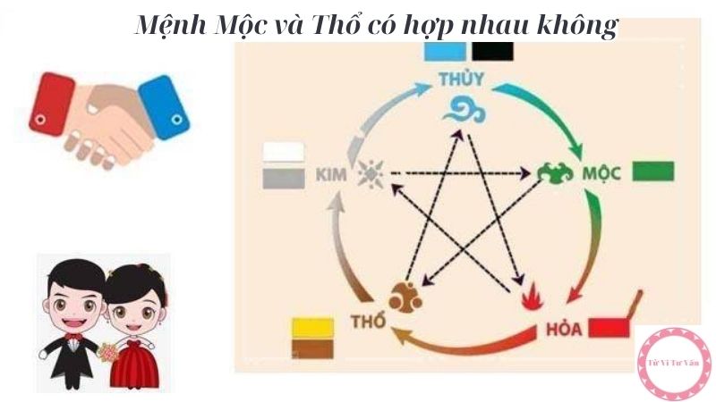 Mệnh Mộc và Thổ có hợp nhau không